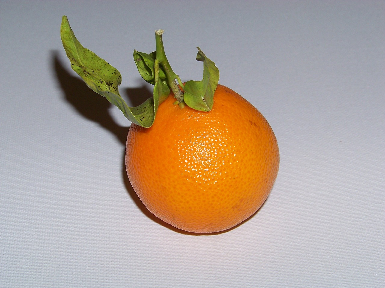 mandarin fruit vitamins free photo