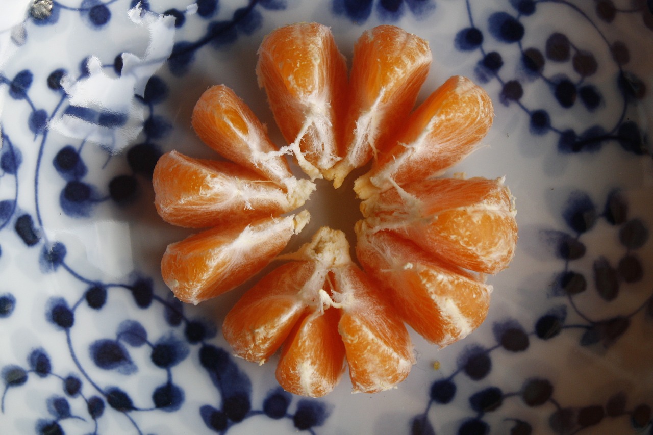 mandarin fruit segments free photo