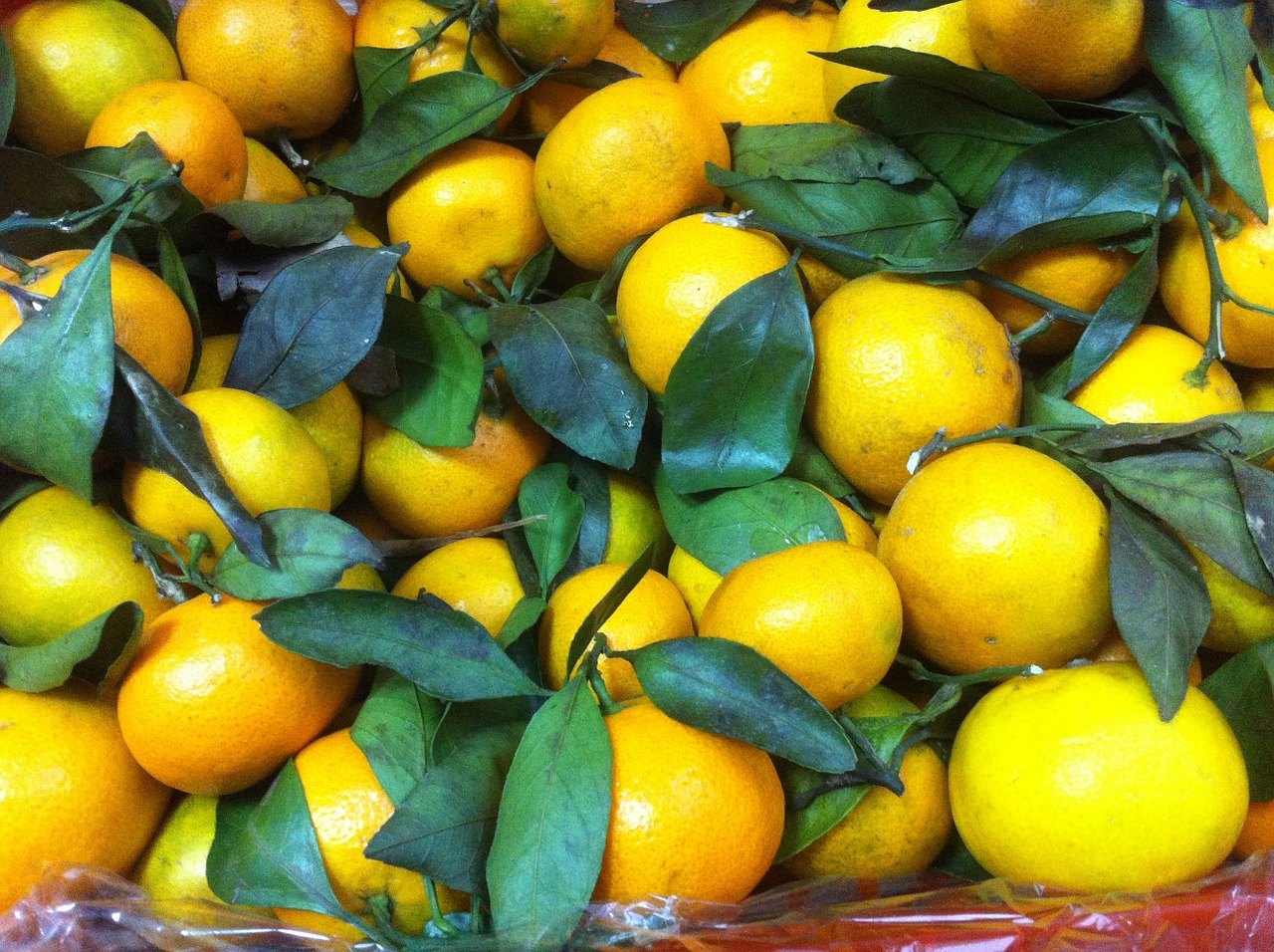mandarins fruit tasty free photo