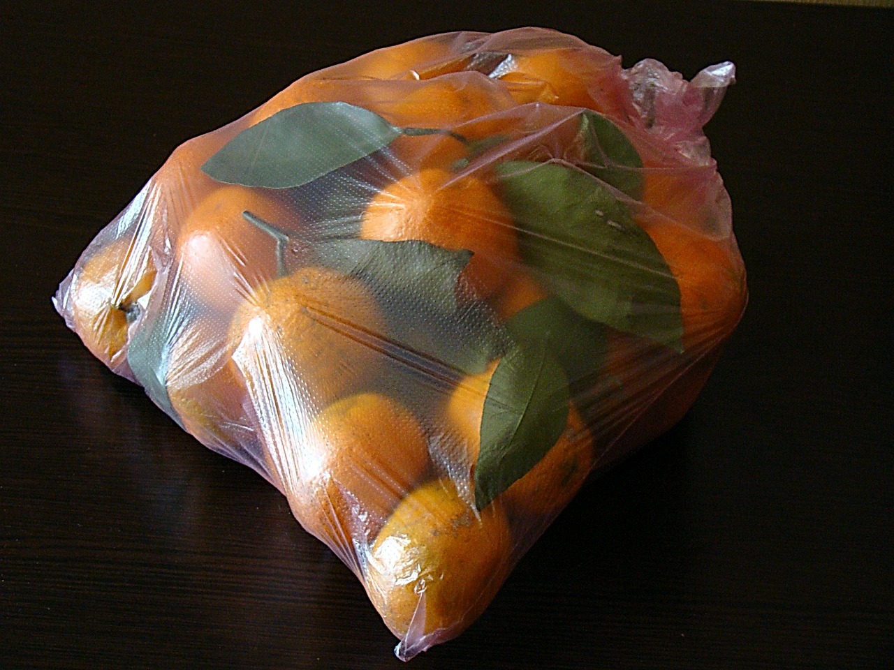 mandarins leaves package free photo