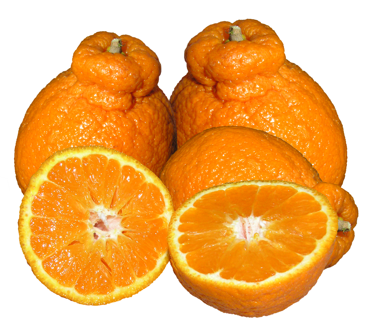 mandarins citrus fruit free photo