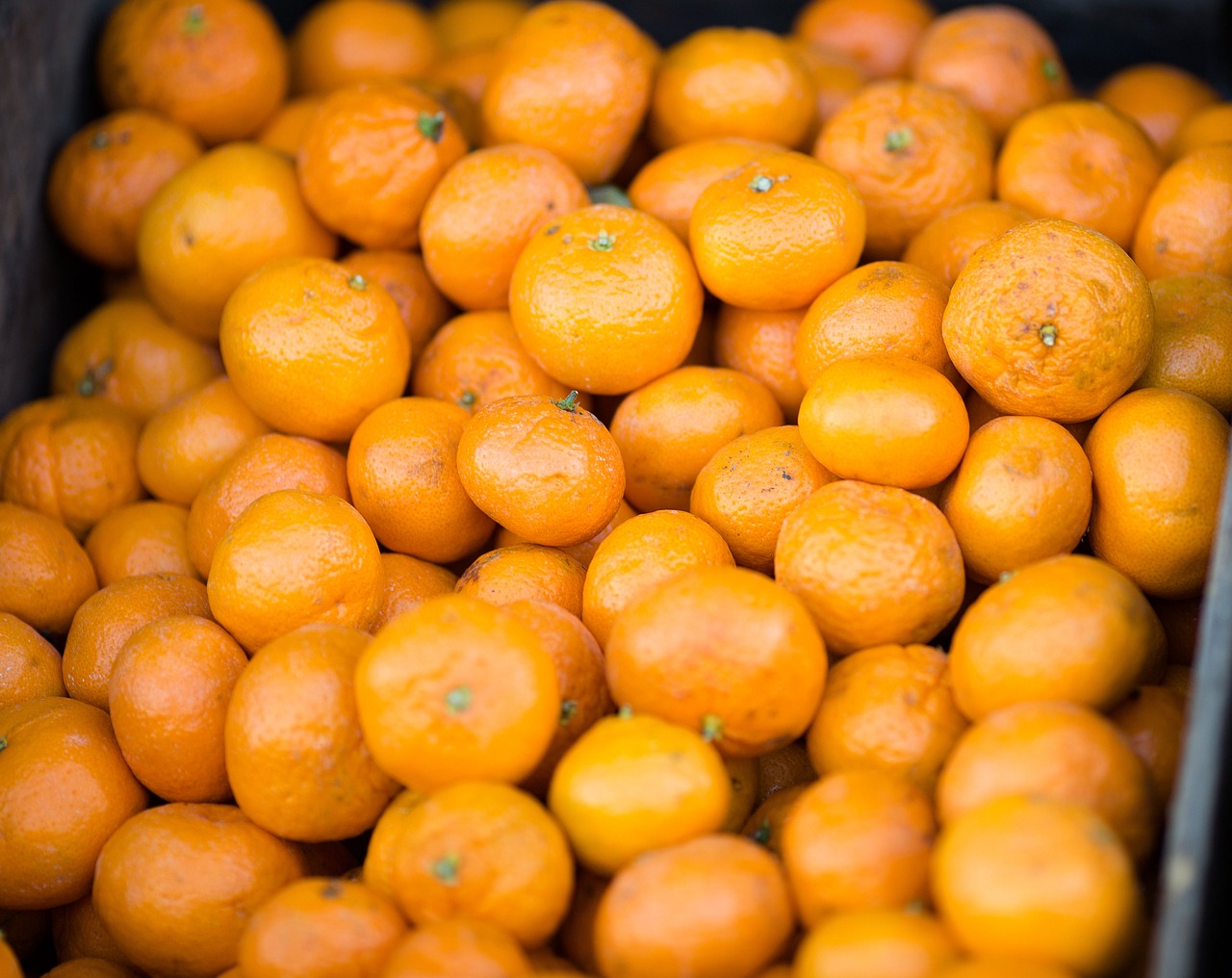 mandarins mandarin oranges clementines free photo