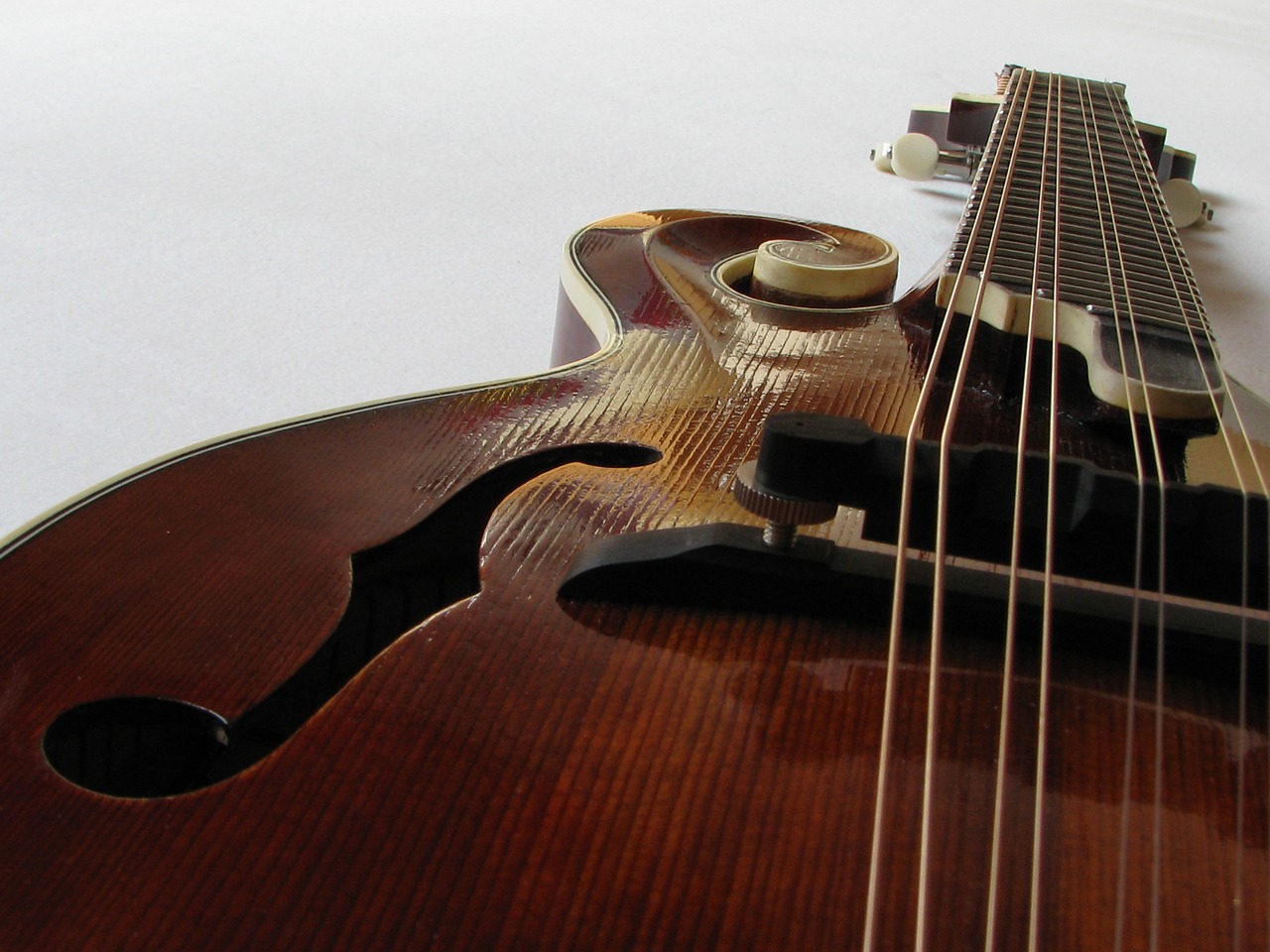 mandolin bluegrass mandolin f mandolin free photo