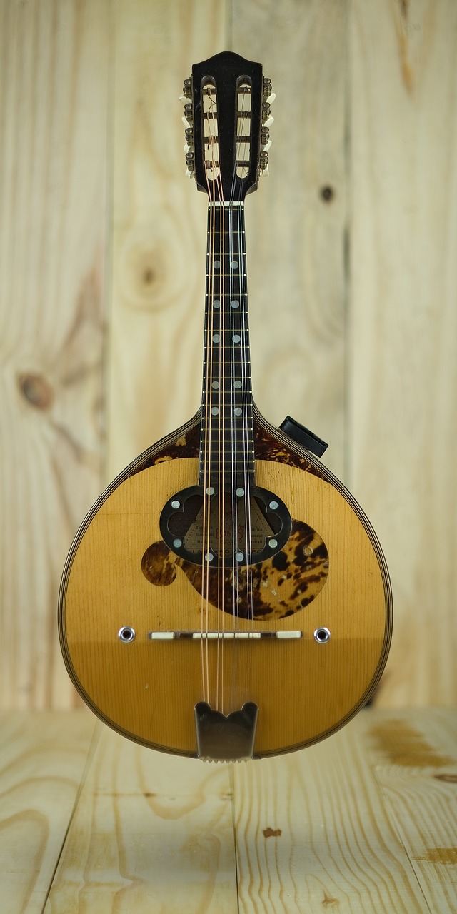mandolin  instrument  acoustic free photo