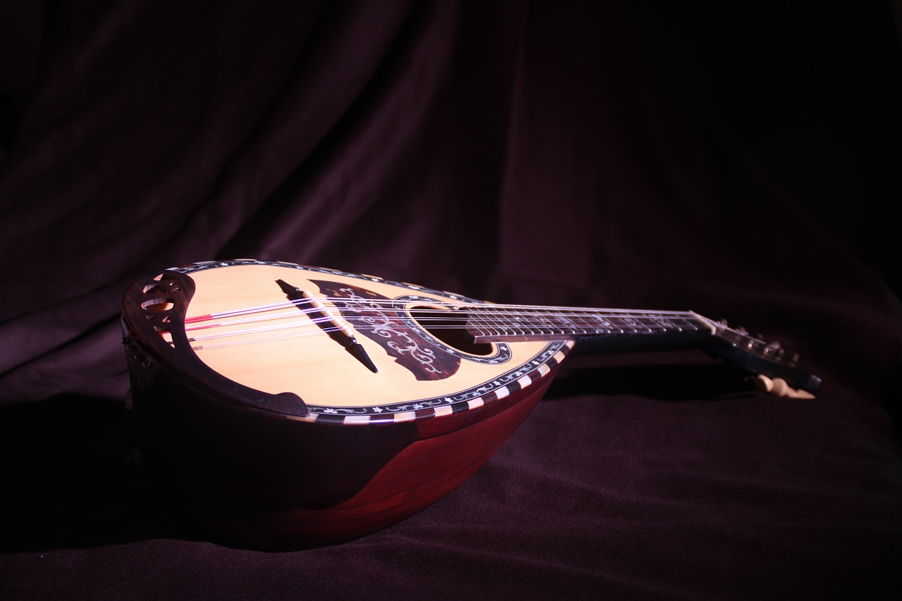 mandolin jean string music free photo