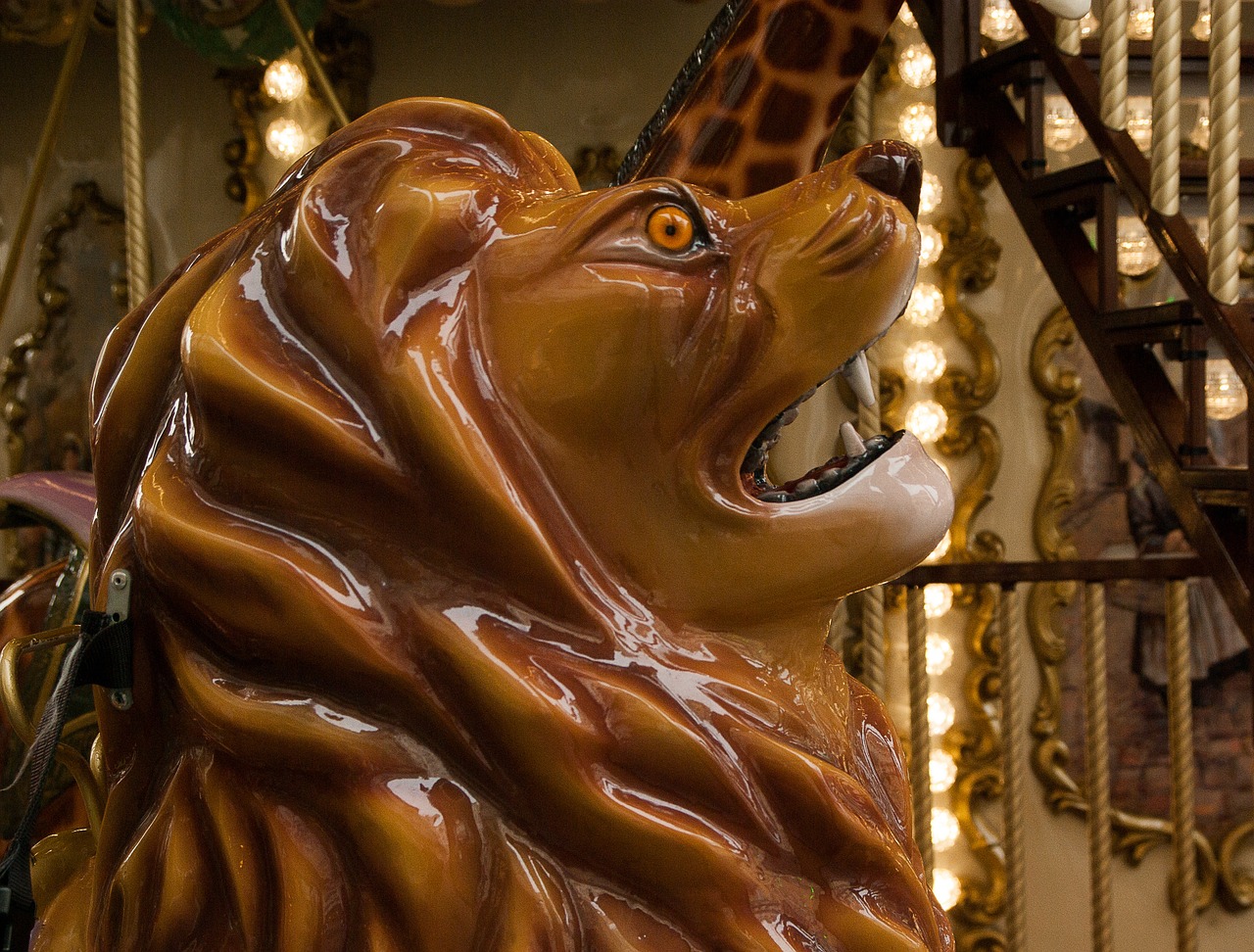 manege carousel lion free photo