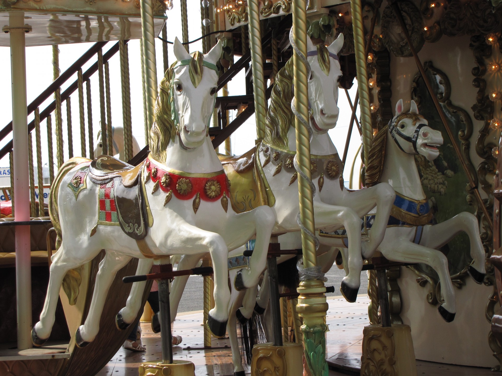 carousel horse horses free photo