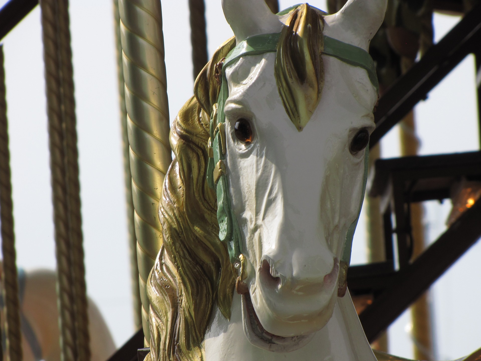 carousel horse horses free photo