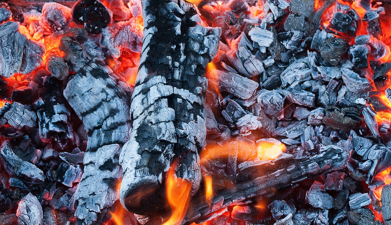 mangal coals coal free photo