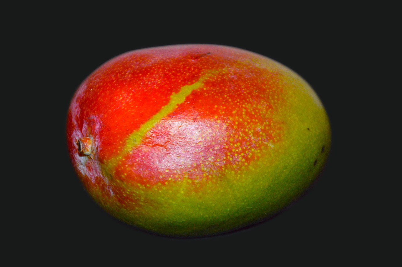 mango fruit food free photo