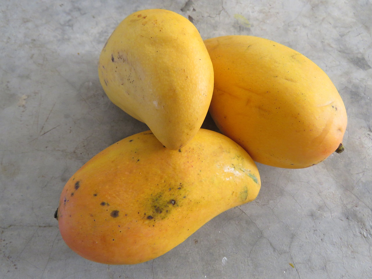 mango fruit tropical fruit free photo