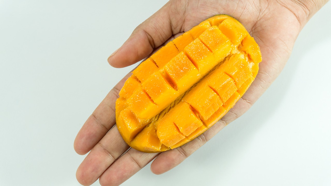 mango slice on hand free photo