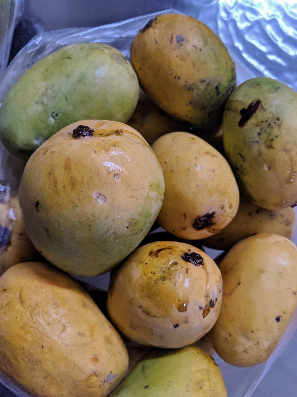 mango  india  yellow free photo