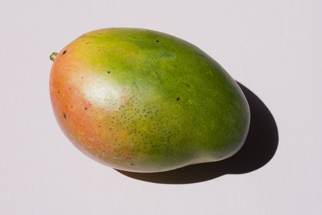 mango fruit tropical free photo