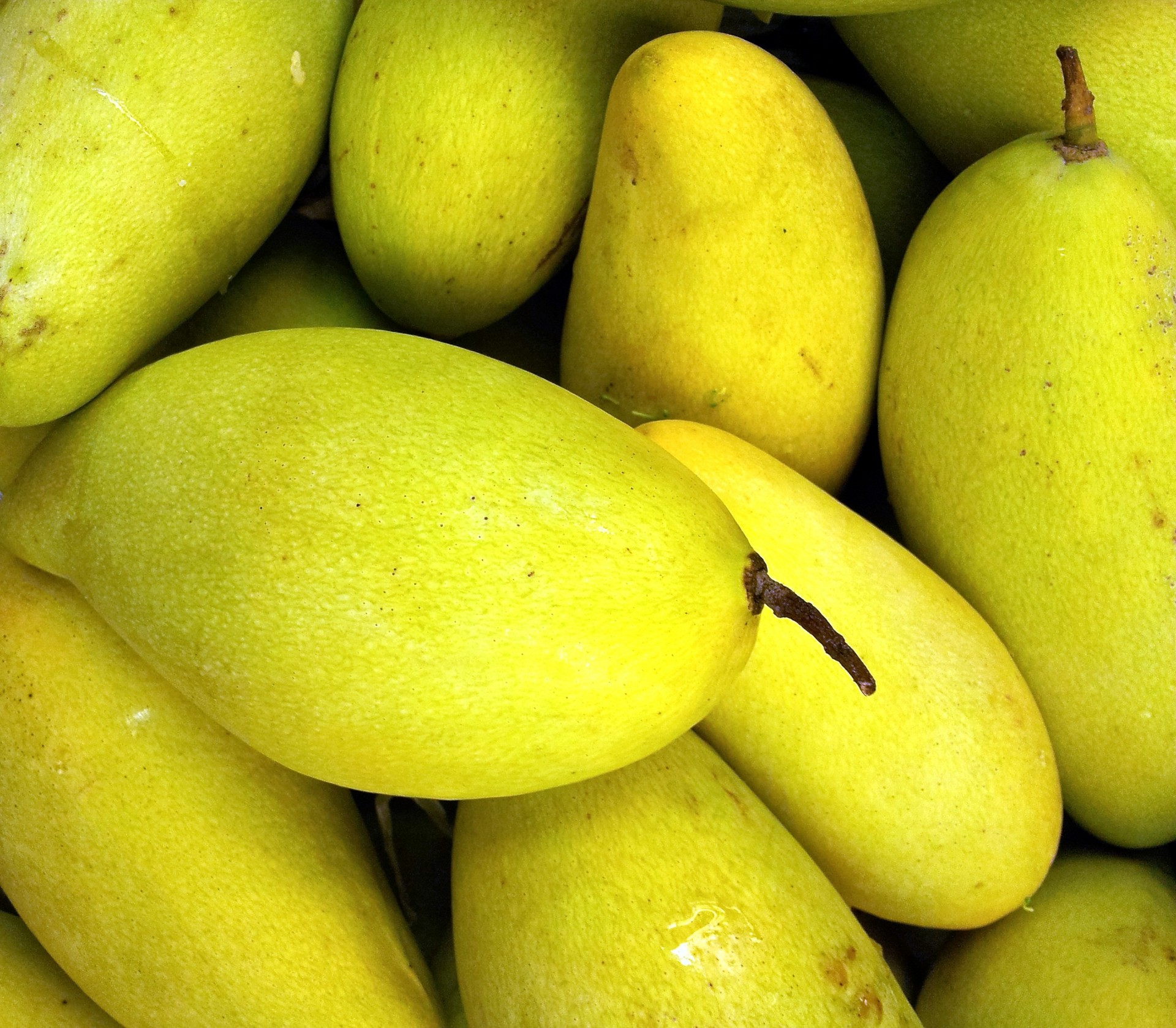 mango pile yellow mango green mango free photo