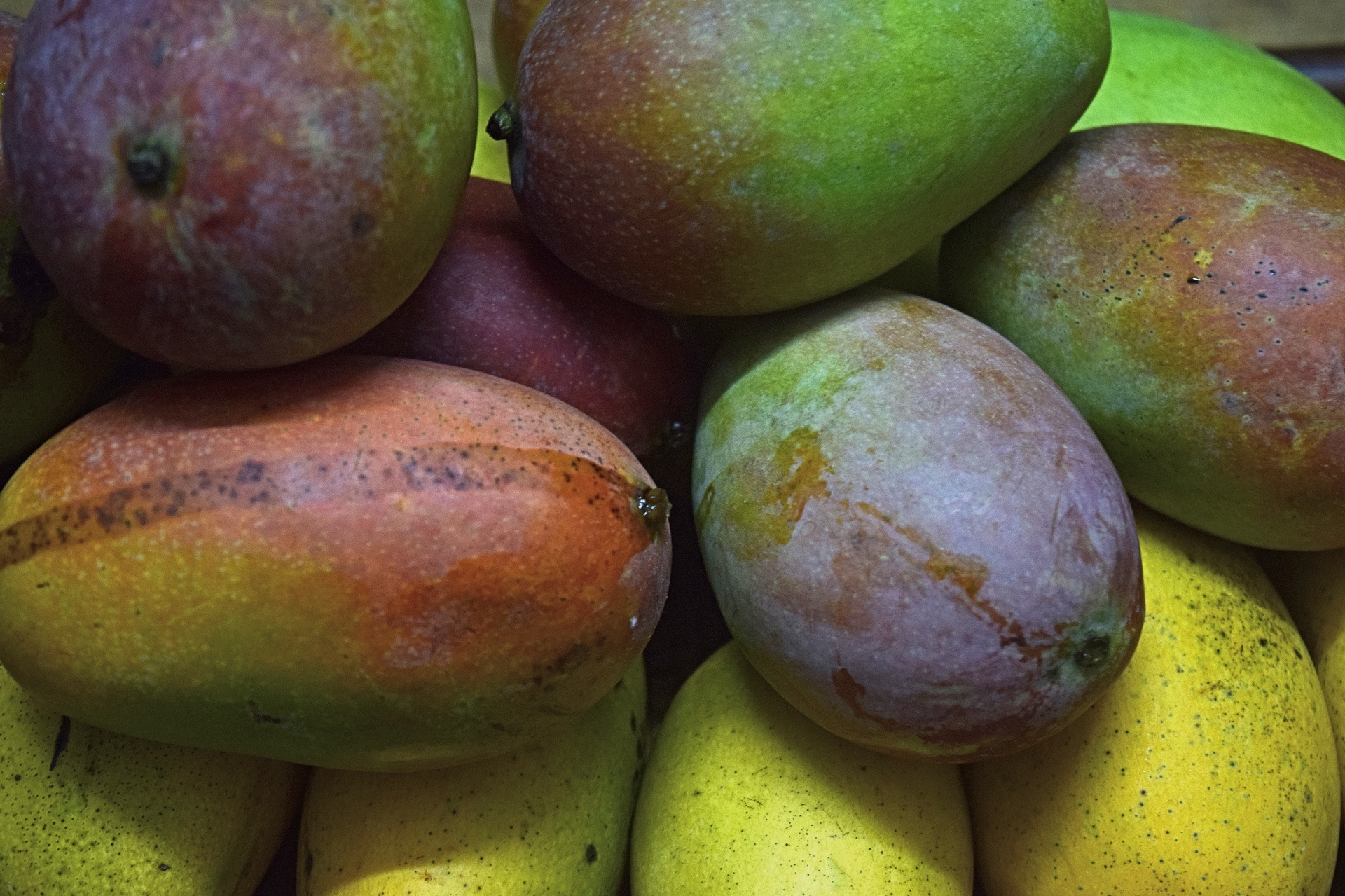 mangoes fruit nature free photo