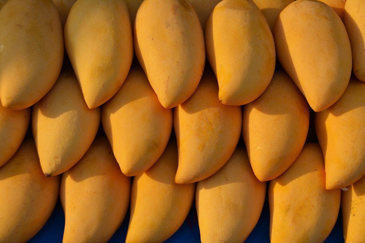 mangoes fruit mango free photo