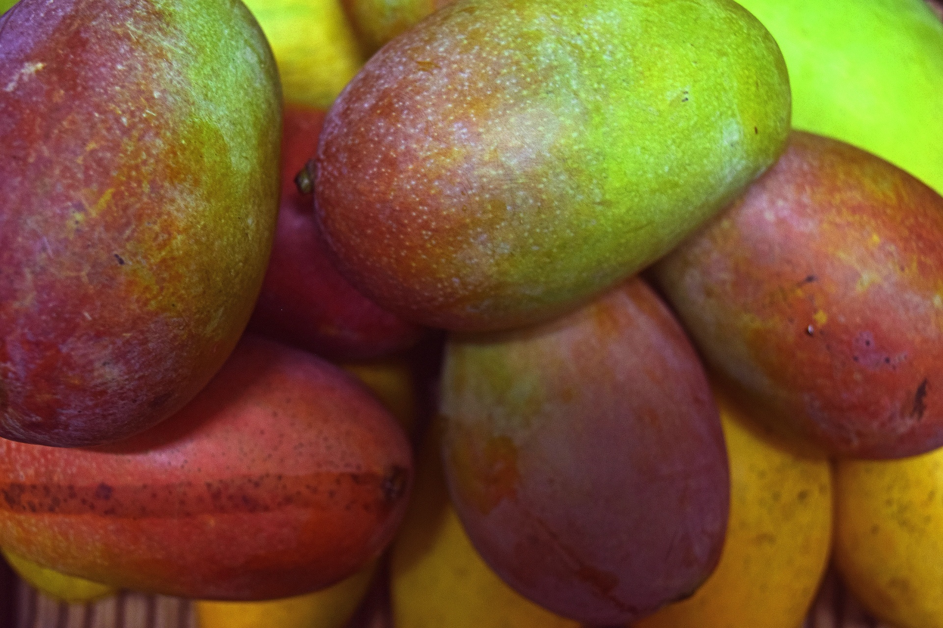 mangoes fruit nature free photo