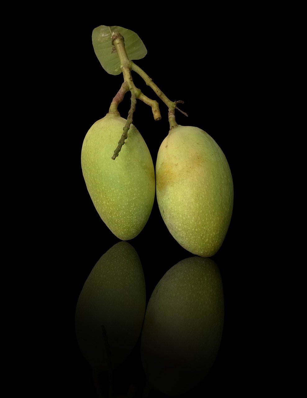 mangoes fresh organic free photo