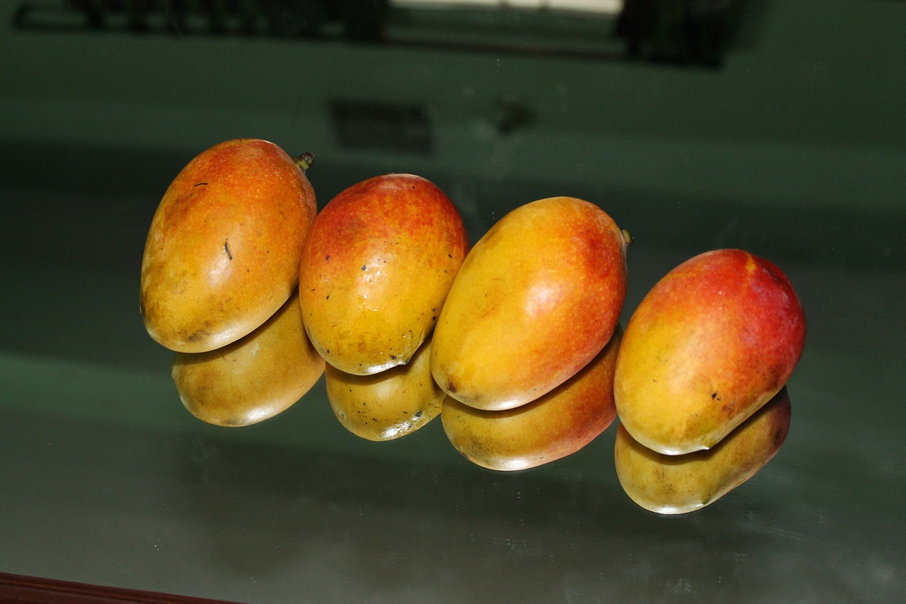 mangoes ripe yellow free photo