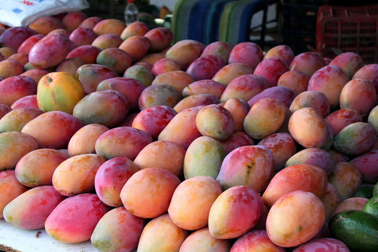 mangoes spain andalusia free photo