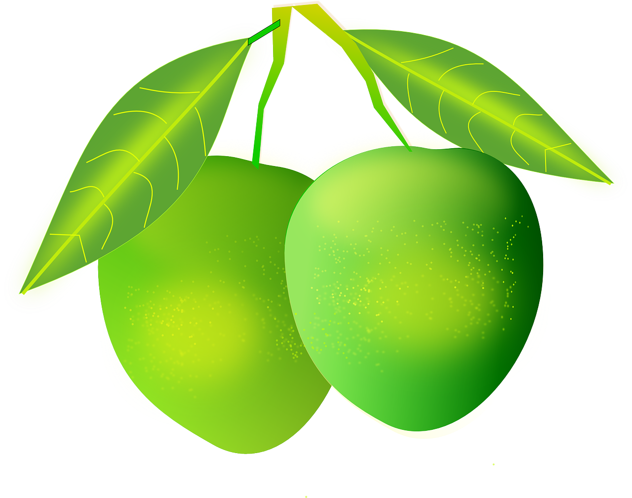 mangos green fruit free photo