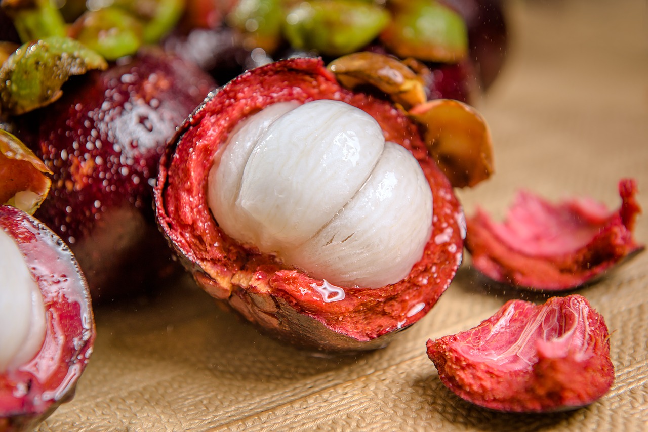 mangosteen fruit fruit photo free photo