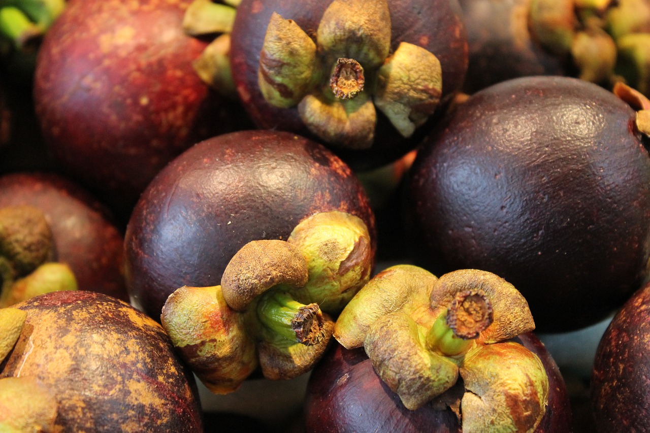 mangosteens fruit exotic fruit free photo