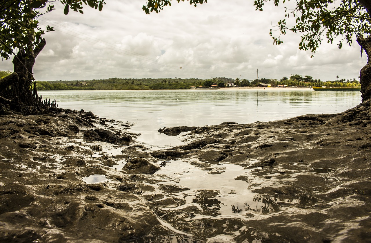 mangue beach mud free photo