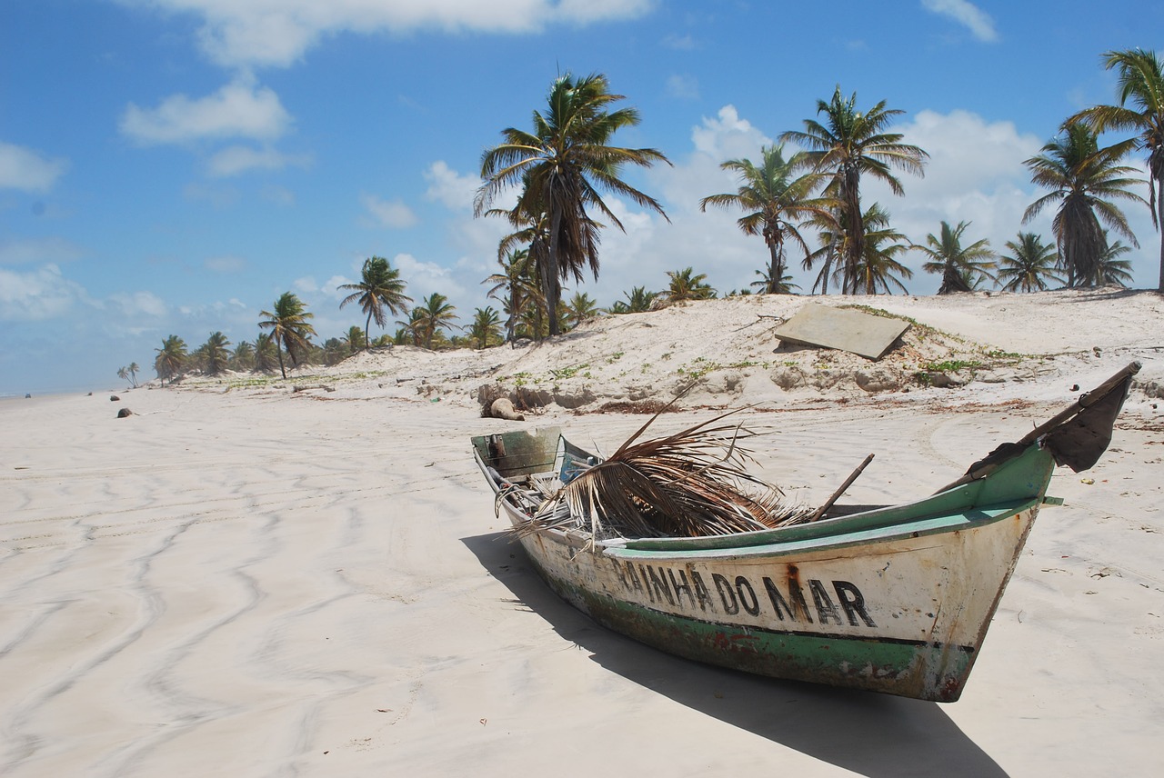 mangue seco bahia boat free photo