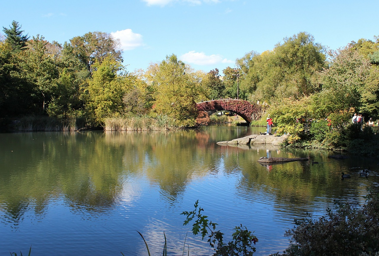 manhattan new york central park free photo