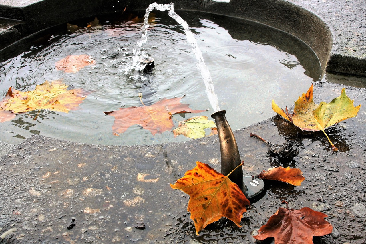 manhole stone wet free photo