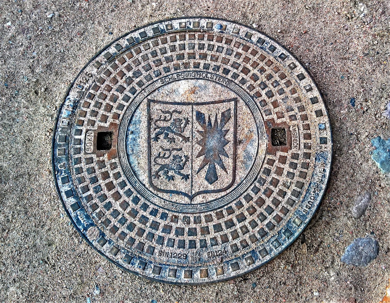 manhole cover  sieldeckel  coat of arms of schleswig-holstein free photo