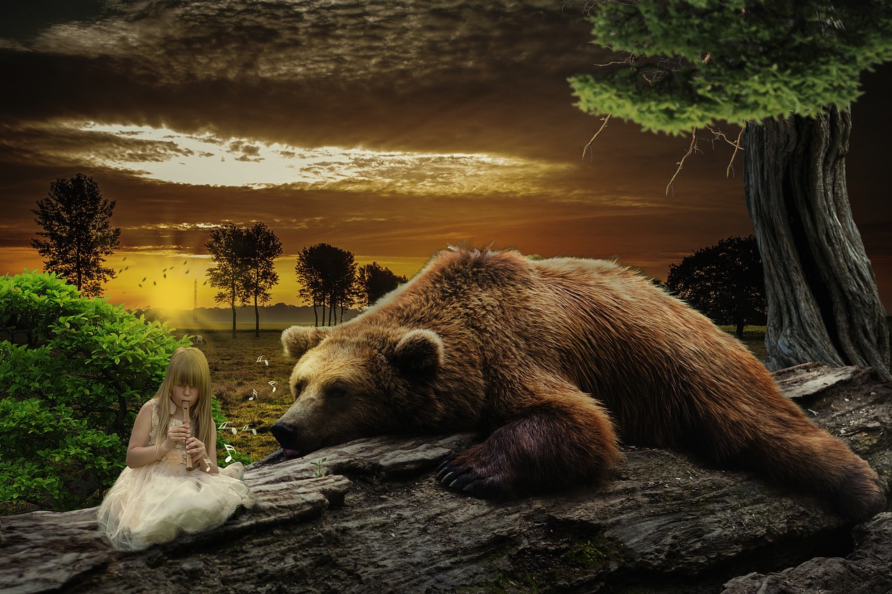 manipulation  bear  animal free photo