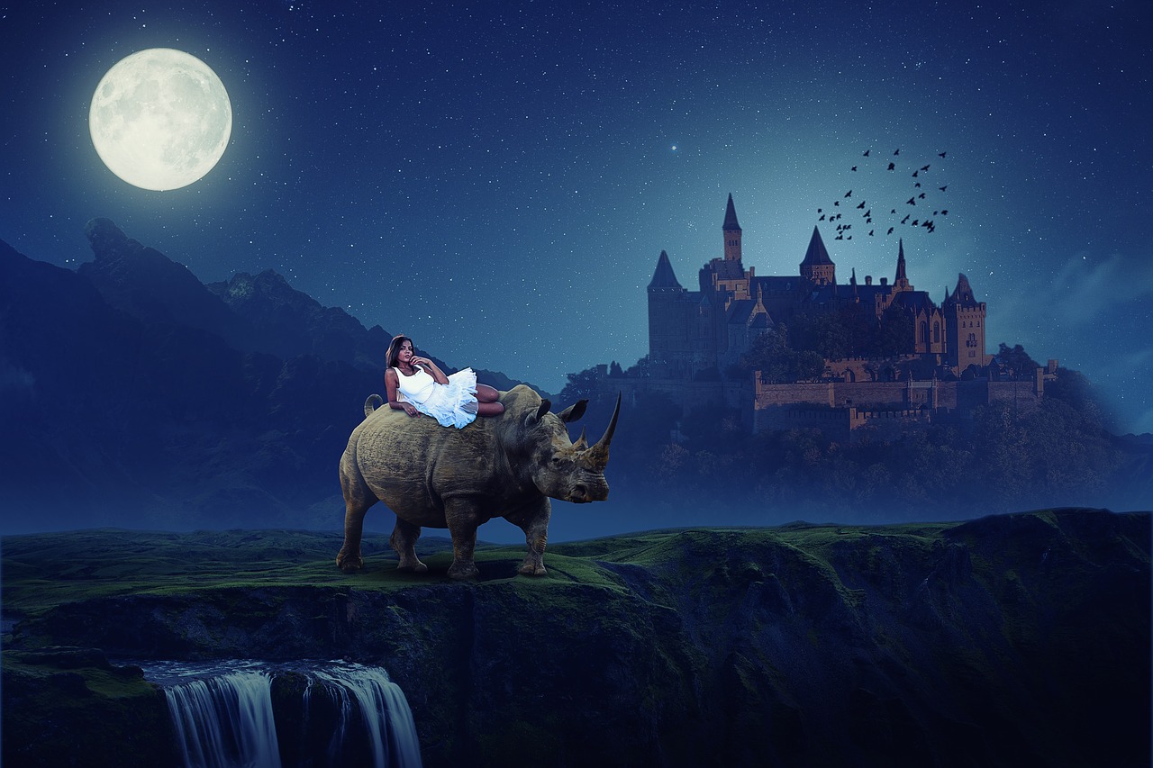 manipulation  animal  rhino free photo