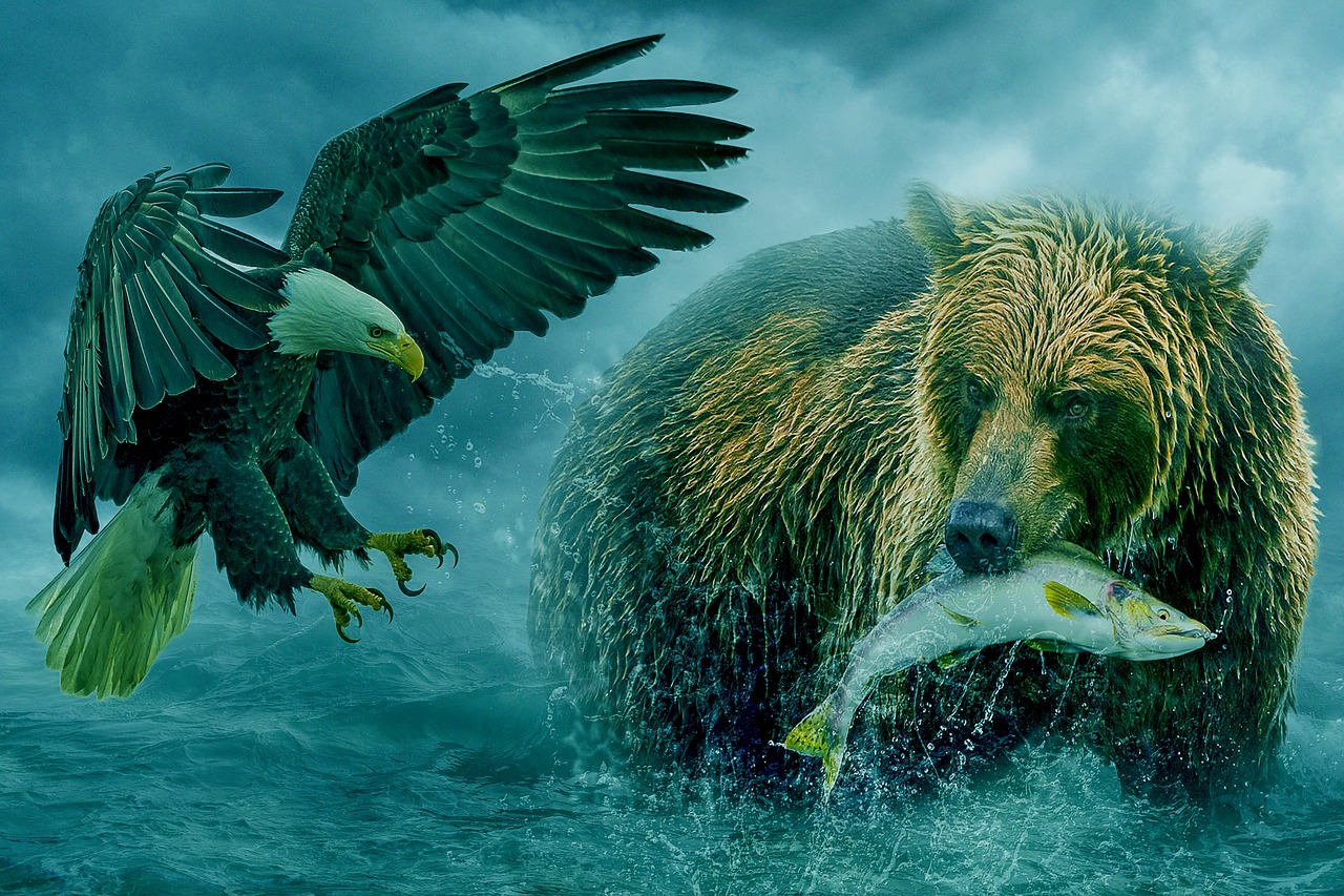 manipulation  animal  bear free photo