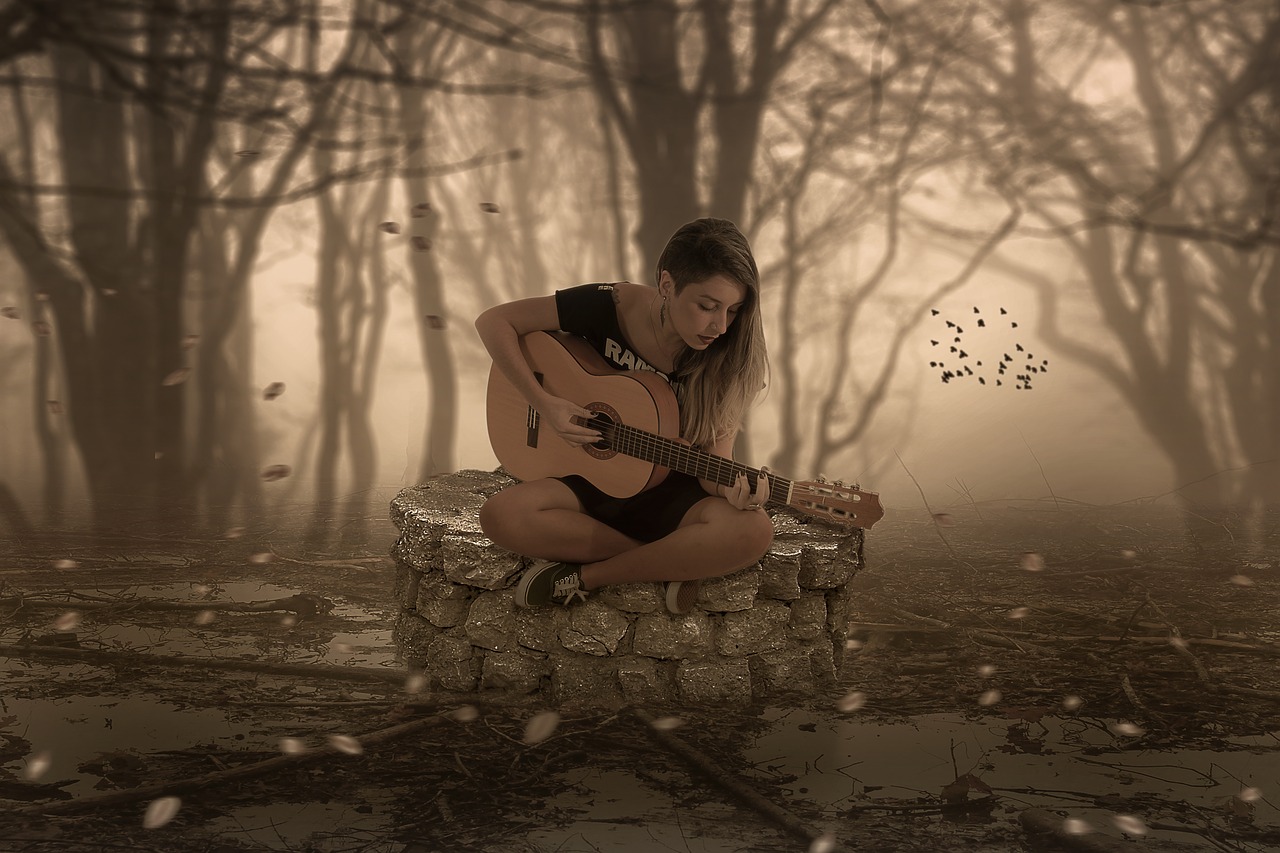 manipulation  music  guitar free photo