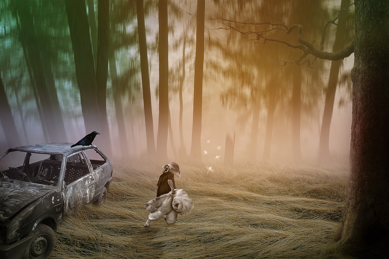 manipulation  forest  girl free photo