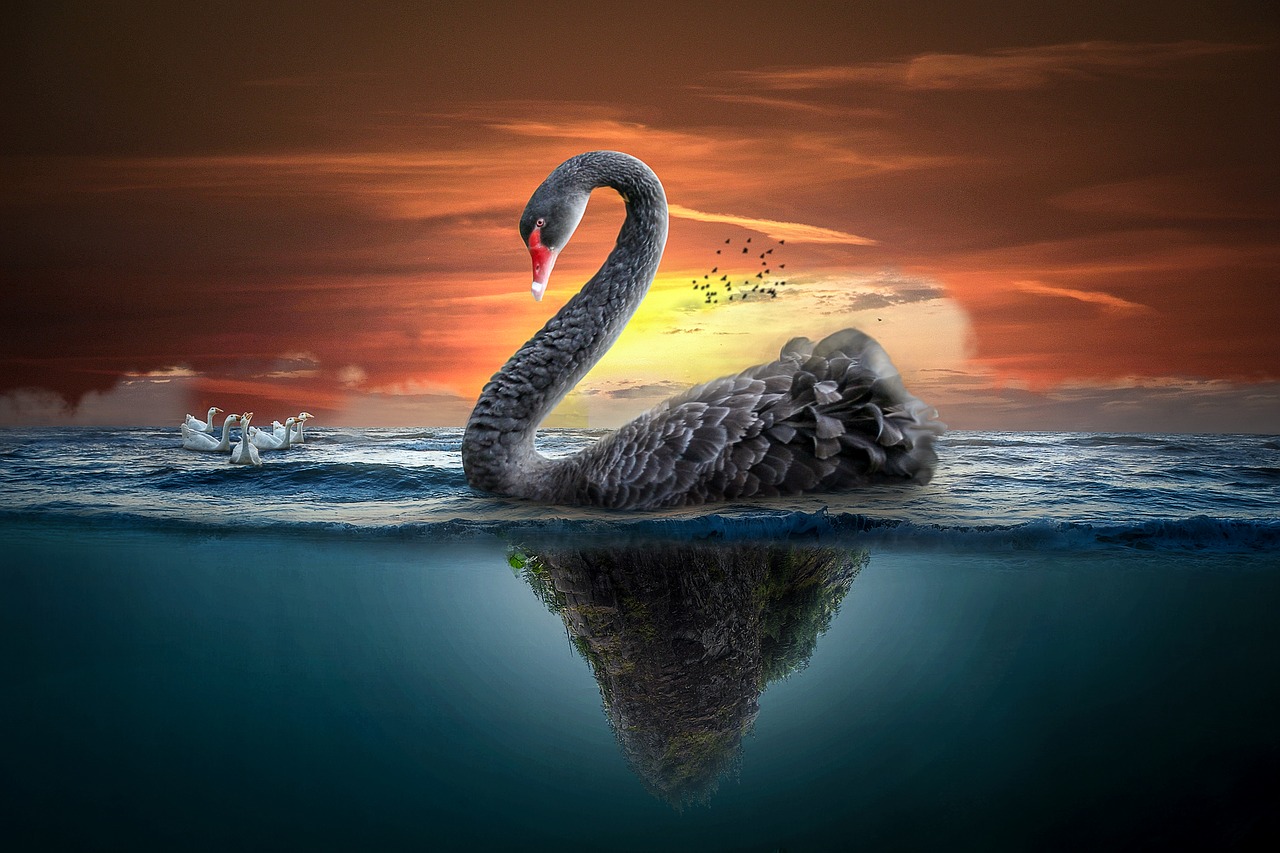 manipulation  landscape  swan free photo