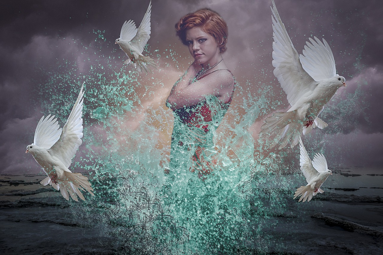 manipulation  white dove  icebergs free photo