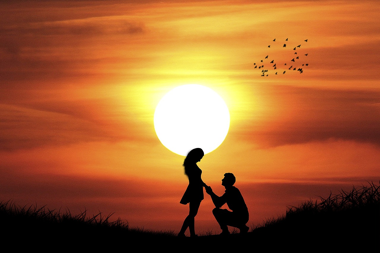 manipulation  silhouette  romantic free photo