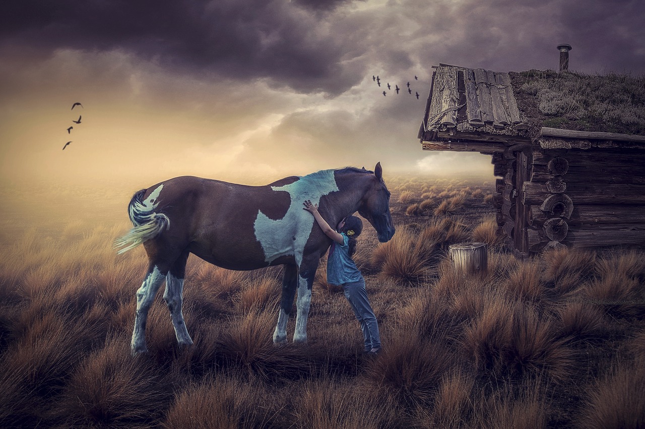 manipulation  friendship  horse free photo