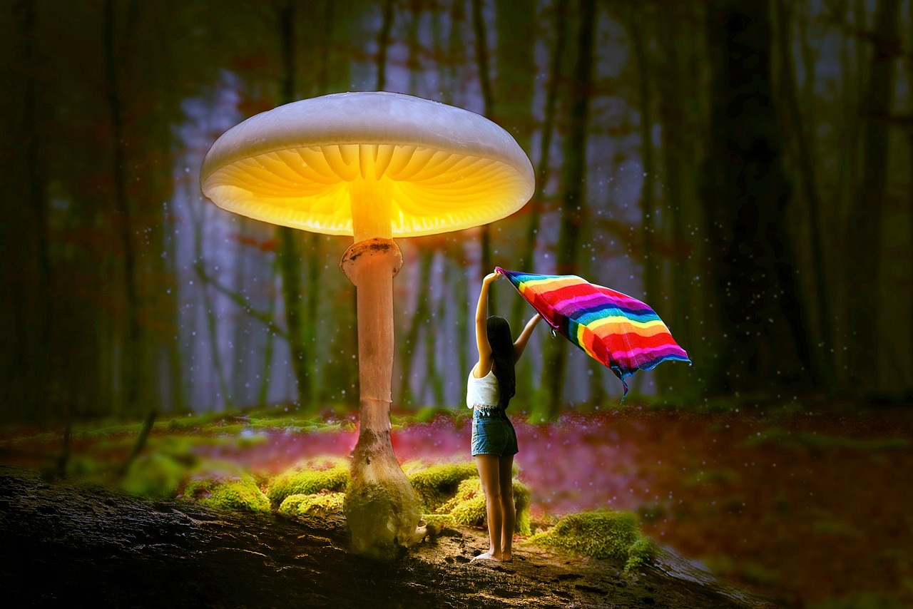 manipulation  girl  mushroom free photo