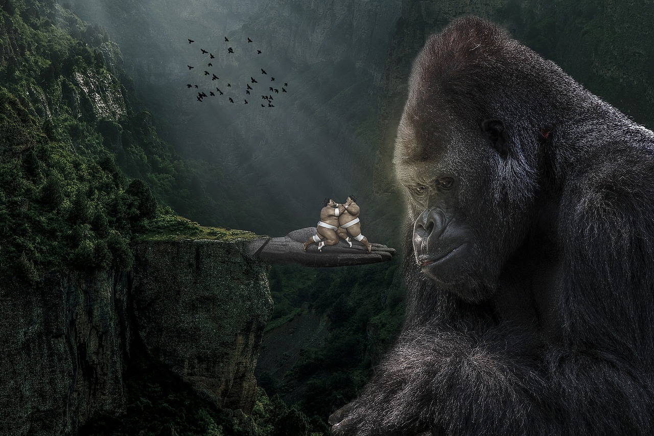 manipulation  gorilla  silverback free photo