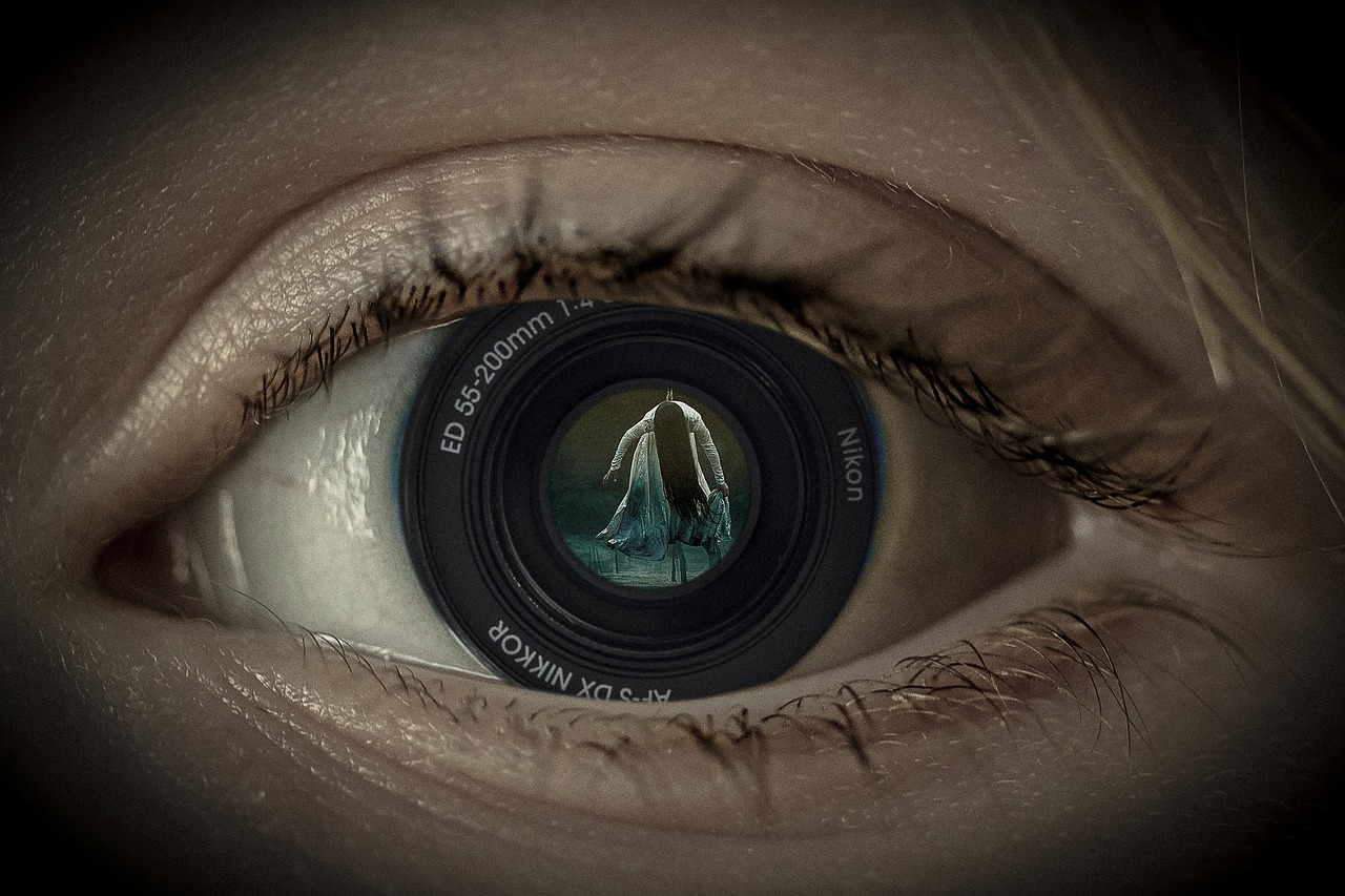 manipulation  eye  camera free photo