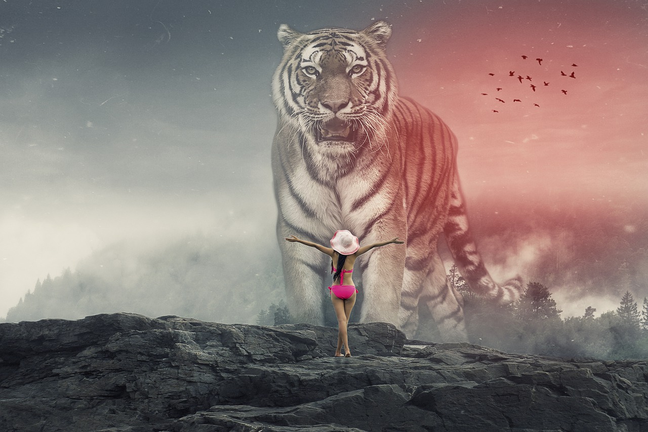 manipulation  tiger  fog free photo