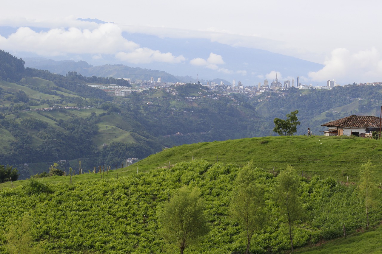 manizales  colombia  coffee free photo