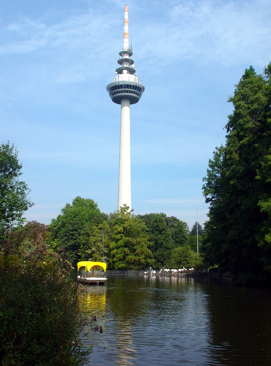 mannheim luisenpark tv tower free photo