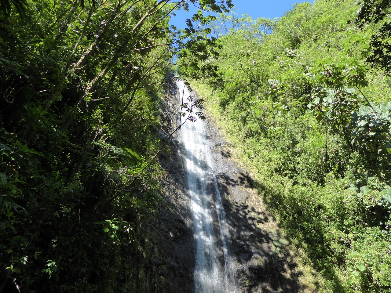 manoa falls hawaii waterfalls free photo