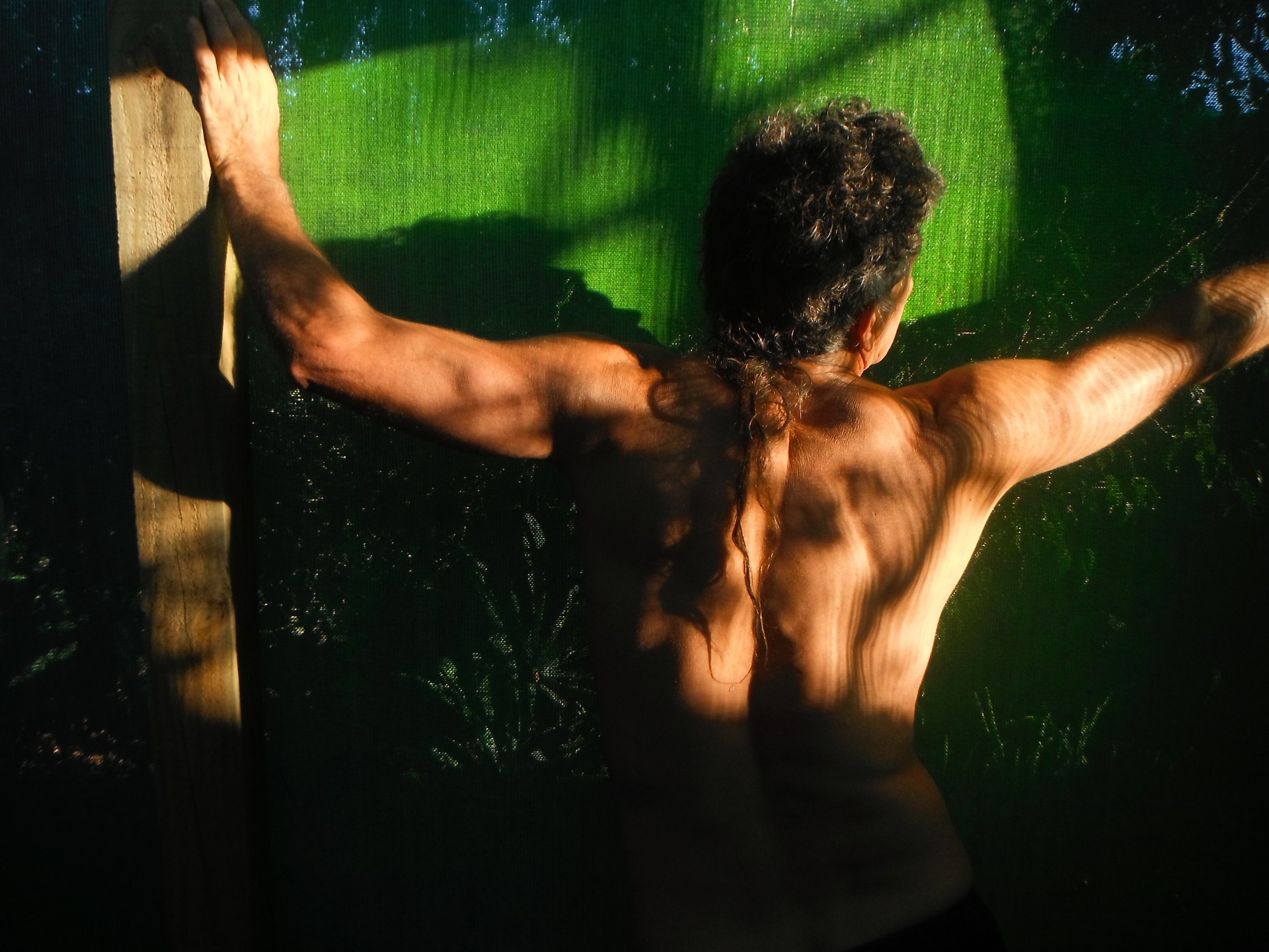 back upper body body building free photo